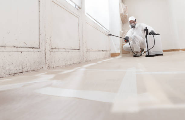 24/7 Emergency Mold Cleanup experts in Weston, MA